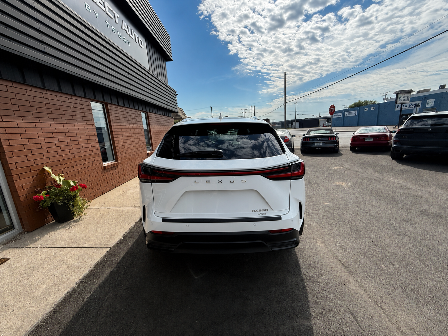 2026 LEXUS NX — photo 4